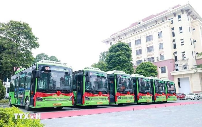 Công ty cổ phần Thương mại và du lịch Hà Lan đầu tư 15 xe buýt điện nhãn hiệu KIM LONG B40-EV, sản xuất năm 2026, mới 100% để chạy tuyến 01. (Ảnh: Vũ Hoàng Giang/TTXVN)