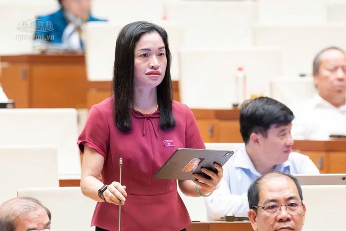 Đại biểu Cil Bri, Đoàn Đại biểu Quốc hội tỉnh Lâm Đồng phát biểu.