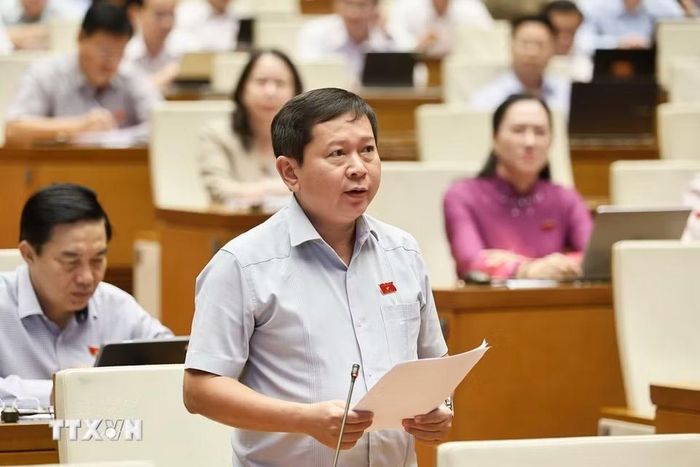 Đại biểu Quốc hội tỉnh Đồng Tháp Tạ Minh Tâm phát biểu. (Ảnh: Doãn Tấn/TTXVN)