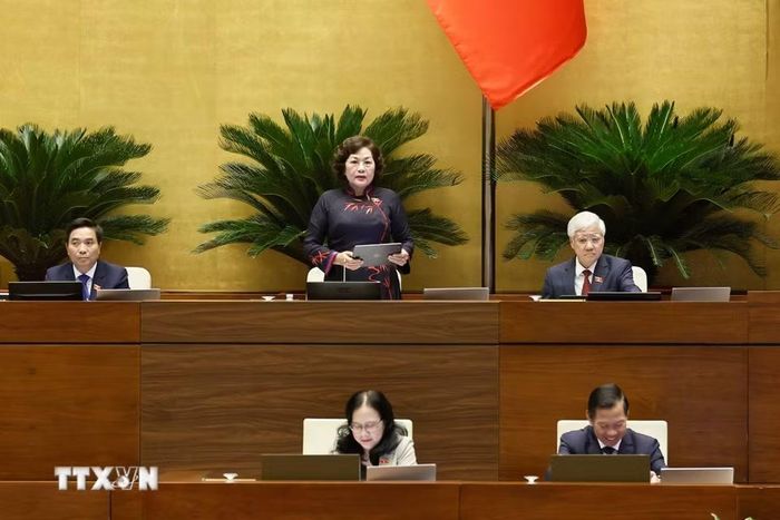 Phó Chủ tịch Quốc hội Nguyễn Thị Hồng phát biểu. (Ảnh: Doãn Tấn/TTXVN)