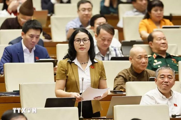 Đại biểu Quốc hội thành phố Hà Nội Nguyễn Thị Lan phát biểu. (Ảnh: Doãn Tấn/TTXVN)