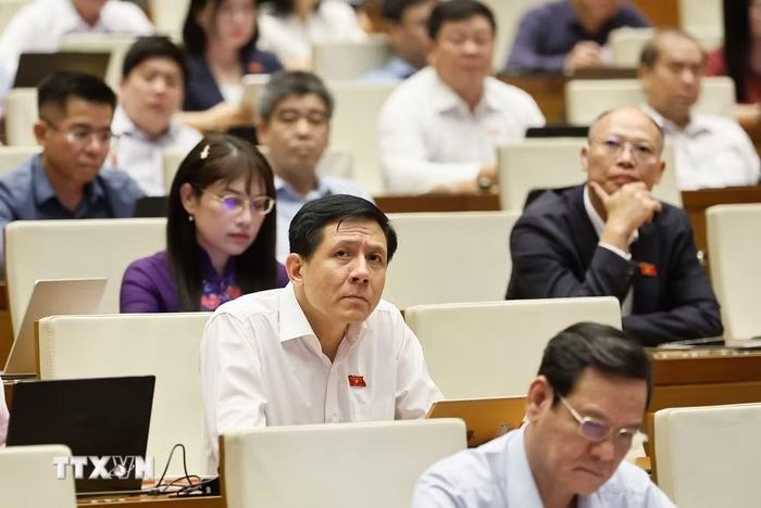 Đại biểu Quốc hội dự phiên họp. (Ảnh: Doãn Tấn/TTXVN)