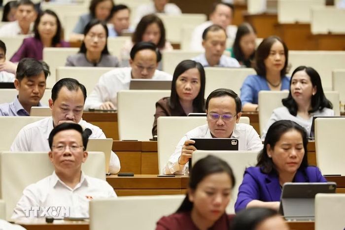 Đại biểu Quốc hội dự phiên họp. (Ảnh: Doãn Tấn/TTXVN)