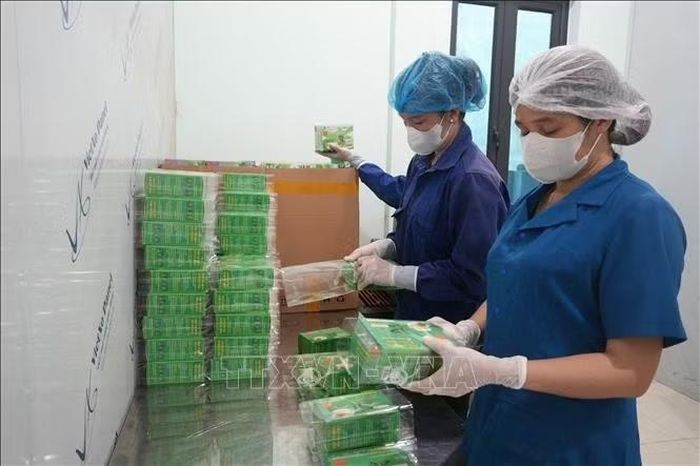 Sản phẩm trà thảo dược được kiểm tra trước khi đưa đi tiêu thụ trên thị trường.