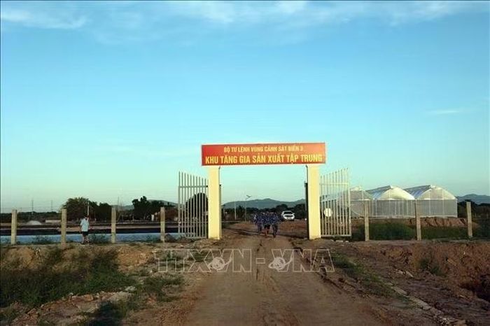 Khu tăng gia sản xuất tập trung do Mặt trận Tổ quốc Việt Nam Thành phố Hồ Chí Minh vận động làm tặng cho cán bộ, chiến sĩ đơn vị trực thuộc Vùng Cảnh sát biển 3. Ảnh: Đoàn Mạnh Dương/TTXVN