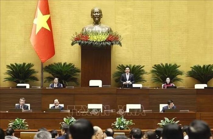 Phó Chủ tịch Quốc hội Nguyễn Hồng Diên phát biểu. Ảnh: Doãn Tấn/TTXVN