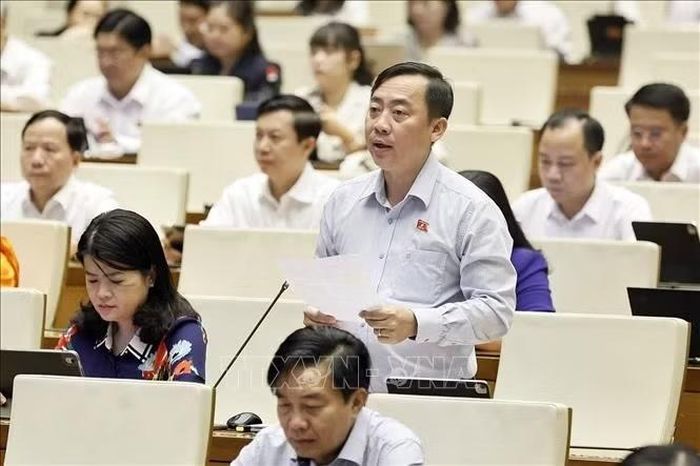 Đại biểu Quốc hội TP Cần Thơ Đào Chí Nghĩa phát biểu. Ảnh: Doãn Tấn/TTXVN