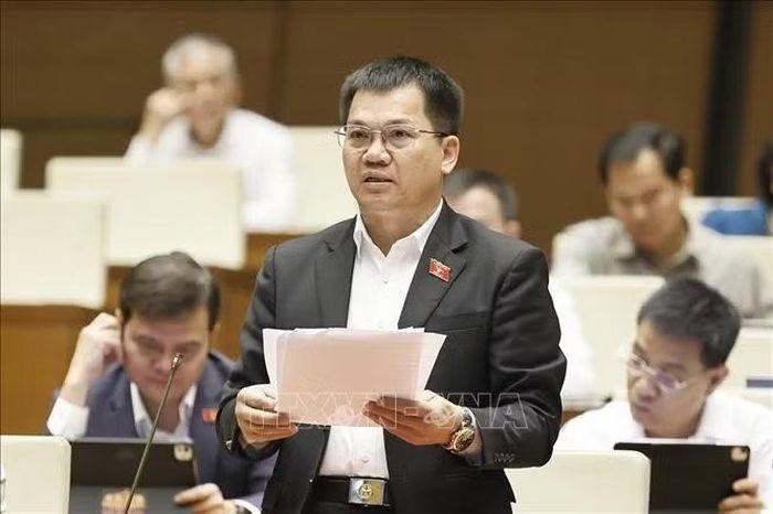 Đại biểu Quốc hội tỉnh Lâm Đồng Dương Khắc Mai phát biểu. Ảnh: Doãn Tấn/TTXVN