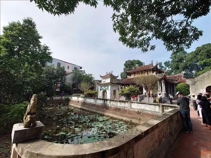 Đình Kim, xã Tam Hưng mang nhiều giá trị lịch sử, văn hóa và kiến trúc, nghệ thuật. Năm 2000, Đình Kim được công nhận là di tích Lịch sử - Văn hóa cấp Quốc gia.
