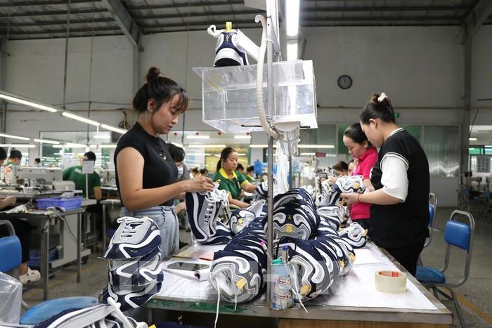 Sản xuất giày xuất khẩu tại Công ty Cổ phần Đầu tư và Sản xuất công nghiệp Lefaso Trà Vinh, xã Trà Cú, tỉnh Vĩnh Long. Ảnh: Phúc Sơn - TTXVN
