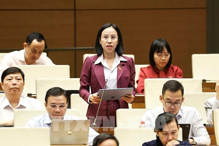 Đại biểu Quốc hội Thành phố Hồ Chí Minh Võ Ngọc Thanh Trúc phát biểu. Ảnh: Doãn Tấn - TTXVN 