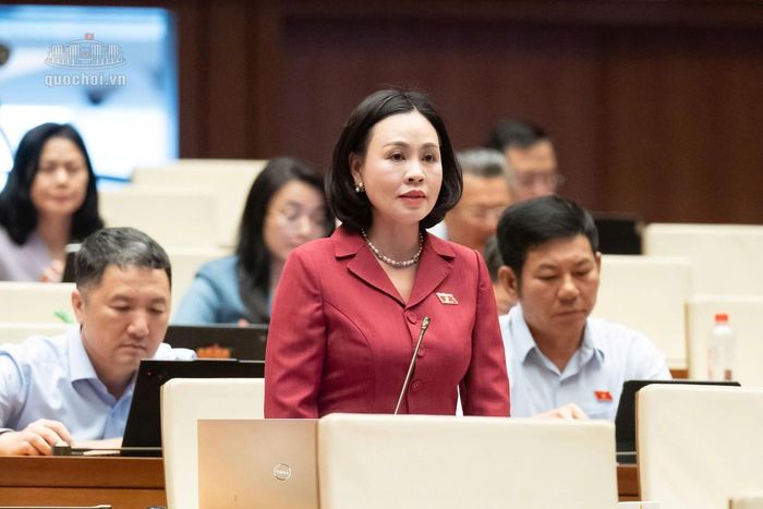Đại biểu Trần Thị Hồng Thanh, Phó trưởng đoàn đại biểu Quốc hội tỉnh Ninh Bình, phát biểu