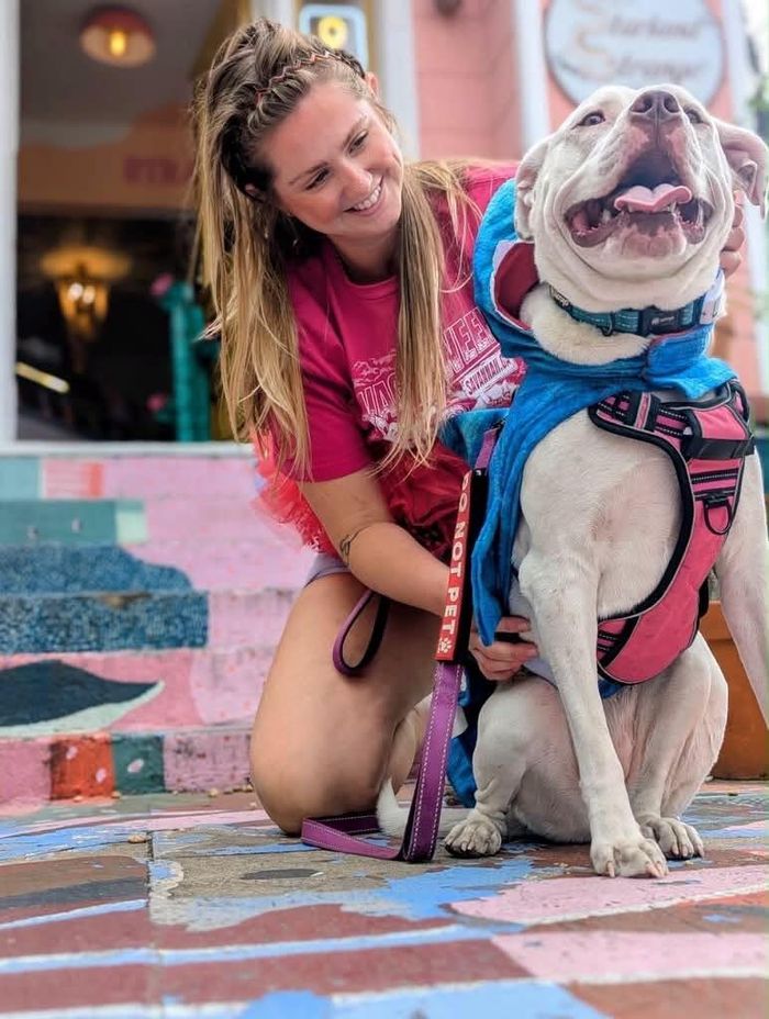 Ảnh: Renegade Paws Rescue