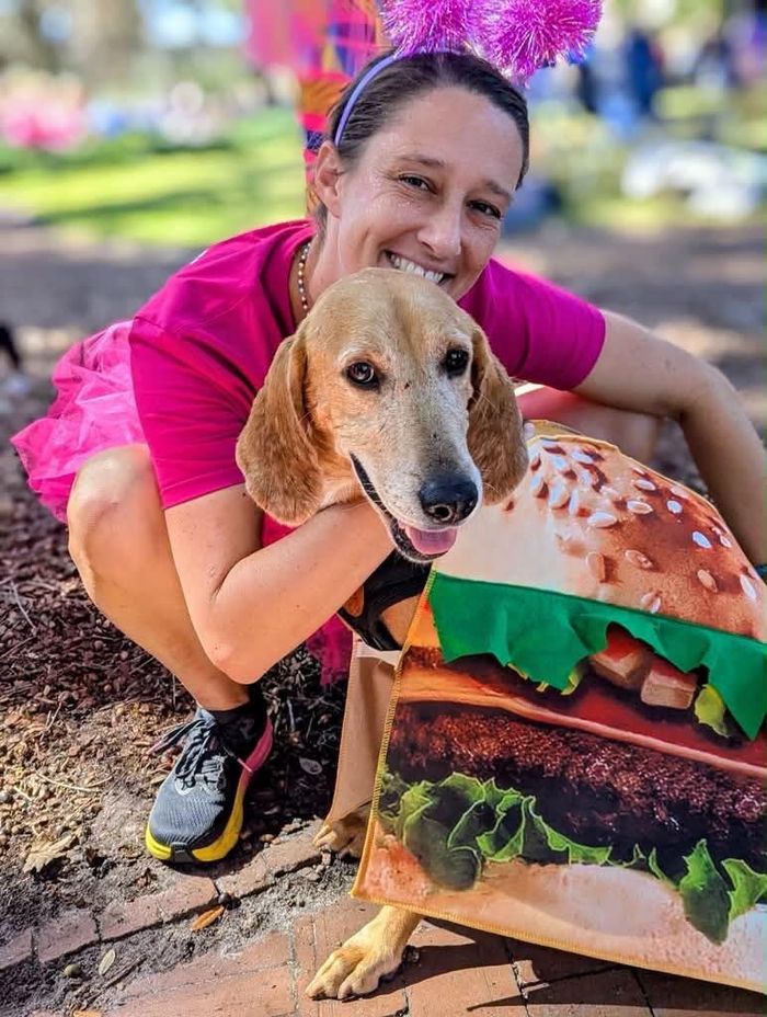 Ảnh: Renegade Paws Rescue