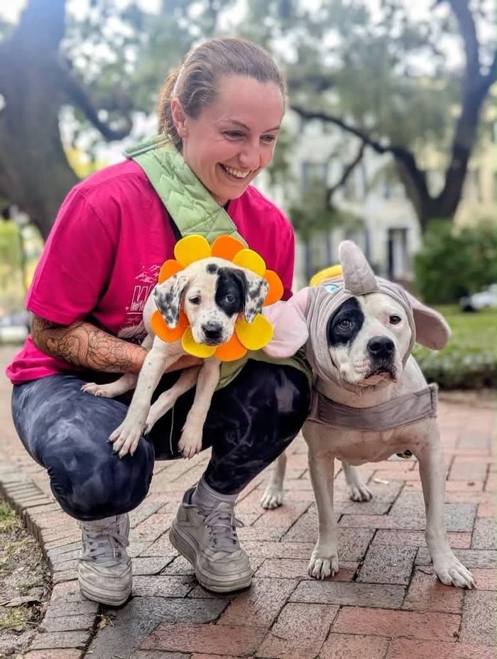 Ảnh: Renegade Paws Rescue