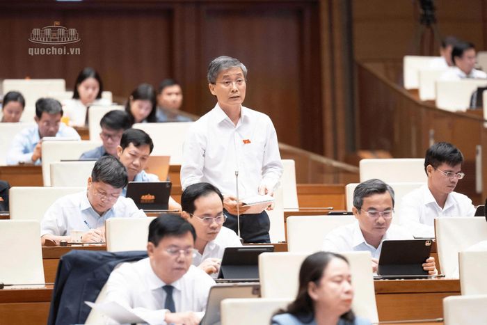 Đại biểu Quốc hội Nguyễn Khánh Ngọc thảo luận tại hội trường. Ảnh: Quốc hội