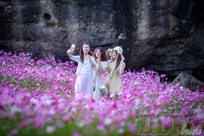 Giữa biển hoa đang độ khoe sắc, những nụ cười rạng rỡ của du khách góp thêm nét tươi vui cho không gian vùng cao Dê Chơ.