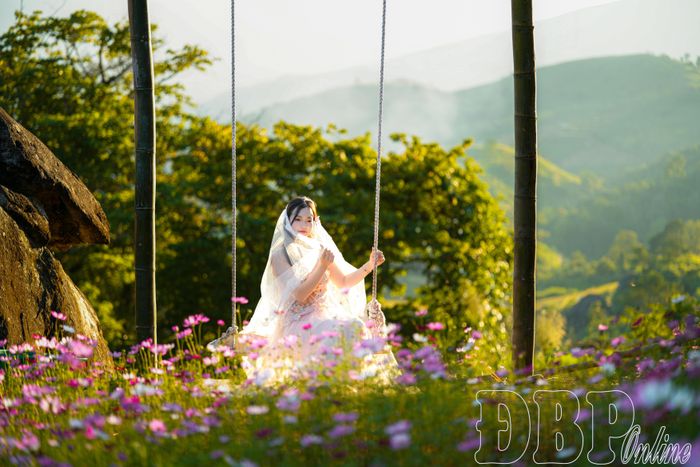 Giữa sắc hoa cánh bướm rực rỡ, du khách lưu giữ những khoảnh khắc dịu dàng trong ánh nắng chiều.