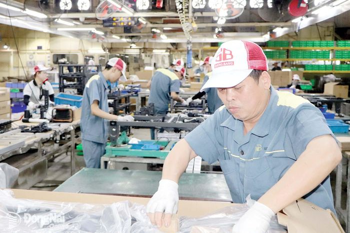 Công nhân sản xuất thiết bị y tế xuất khẩu tại Công ty Hữu hạn kim loại Sheng Bang, Khu công nghiệp Sông Mây (xã Bình Minh).