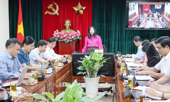 Trưởng ban Văn hóa - Xã hội HĐND thành phố Huỳnh Ngọc Kim Mai phát biểu tại cuộc họp. Ảnh: Hồ Thảo