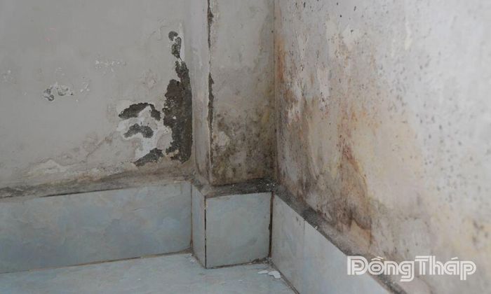 Một số căn hộ gần khu vực sân thượng tại chung cư Victoria Premium, phường Mỹ Tho, tỉnh Đồng Tháp, bị thấm dột kéo dài.