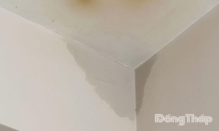 Nước mưa thấm qua tường và trần, chảy vào bên trong căn hộ.