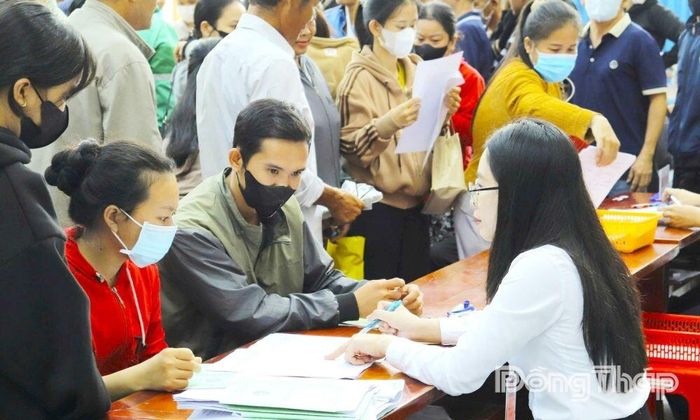 Trung tâm Dịch vụ việc làm Đồng Tháp (cơ sở phường Cao Lãnh) tư vấn việc làm cho lao động đang hưởng trợ cấp thất nghiệp.