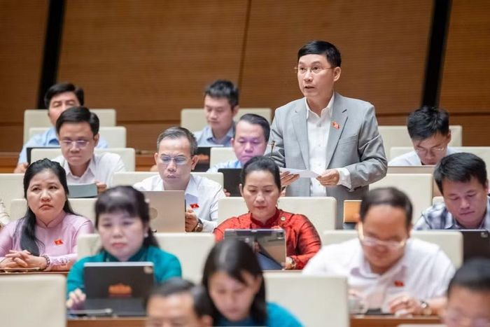 ĐB Lê Hoàng Anh đề xuất tạo điều kiện cho doanh nghiệp chế biến tiếp cận đất đai, vốn. Ảnh: Đoàn ĐBQH tỉnh Gia Lai