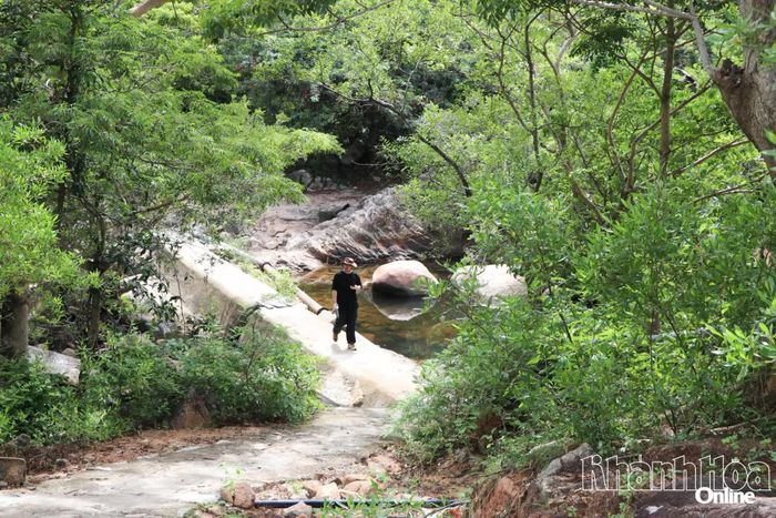 Con đường bê tông trải dài giúp du khách khám phá thiên nhiên một cách trọn vẹn.