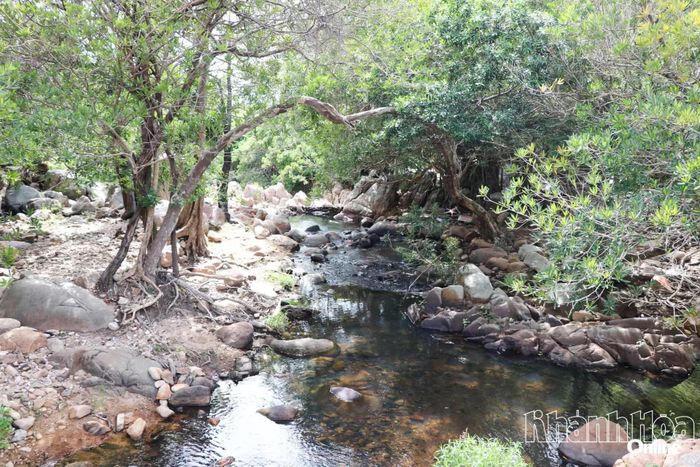 Khung cảnh mát lành tại suối Lồ Ô.