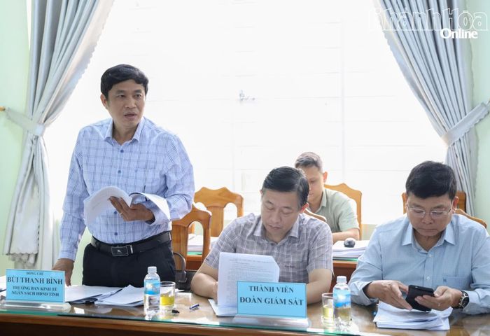 Thành viên đoàn giám sát phát biểu tại buổi giám sát.