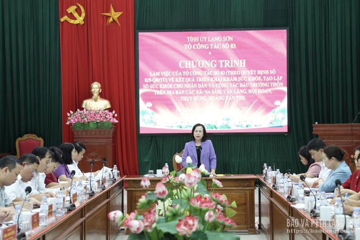 Đồng chí Đoàn Thị Hậu, Phó Bí thư Tỉnh ủy, Chủ tịch HĐND tỉnh, Tổ trưởng Tổ công tác số 3 phát biểu tại buổi làm việc
