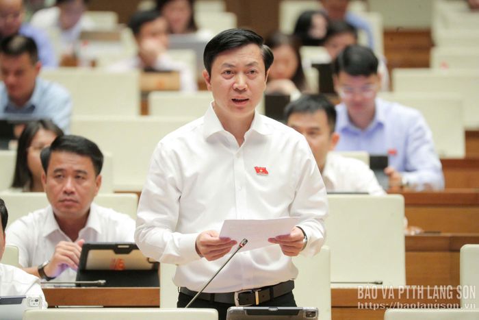 Đại biểu Nguyễn Hoàng Tùng, Đoàn đại biểu Quốc hội tỉnh phát biểu thảo luận tại hội trường