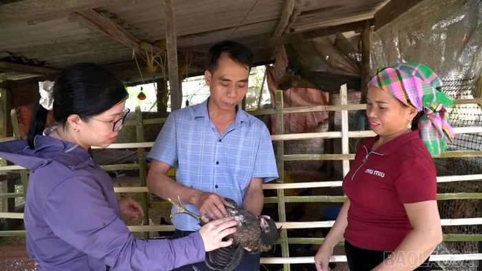 Địa phương huy động nguồn lực đầu tư hạ tầng, hỗ trợ sinh kế, đào tạo nghề, giúp bà con phát triển kinh tế bền vững.