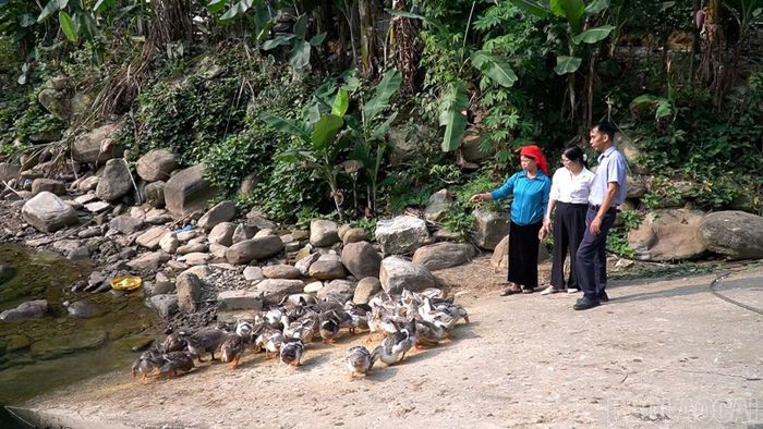 Với sự hỗ trợ của chính quyền địa phương, nhiều mô hình phát triển kinh tế đã phát huy hiệu quả.