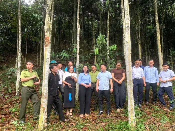 Xã Tân Hợp tổ chức Hội thảo chuyên đề về phát triển quế hữu cơ và chế biến sâu