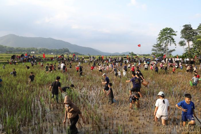 Không khí sôi động tại Hội thi bắt cá ruộng tại phường Cầu Thia thu hút sự theo dõi của du khách.
