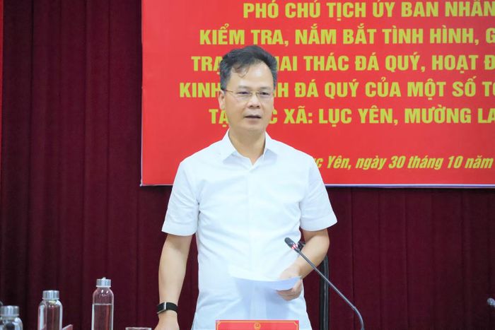 Phó Chủ tịch UBND tỉnh Nguyễn Thành Sinh phát biểu tại buổi làm việc.