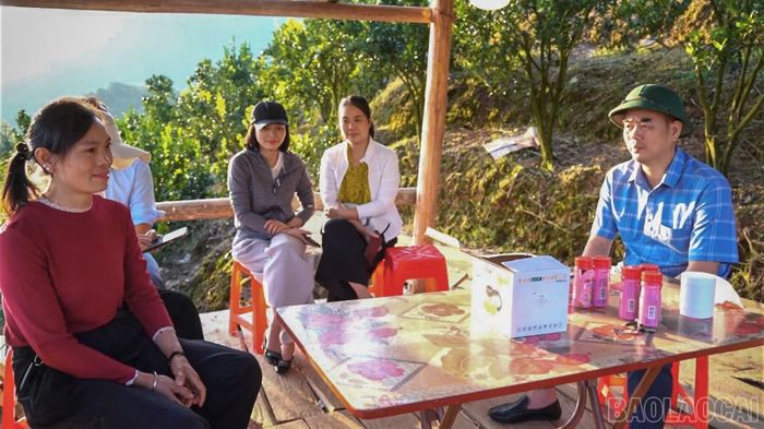 Lãnh đạo xã Mường Khương kiểm tra các vùng sản xuất hàng hóa.
