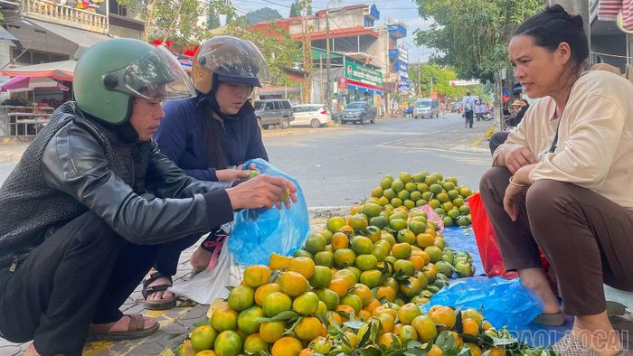 Quýt là một trong các sản phẩm nông nghiệp chủ lực được quảng bá tại lễ hội.