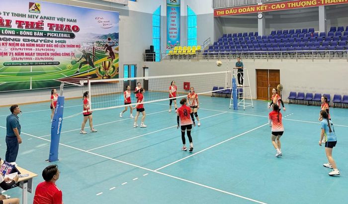 Các vận động viên thi đấu sôi nổi ở nội dung bóng chuyền nữ.