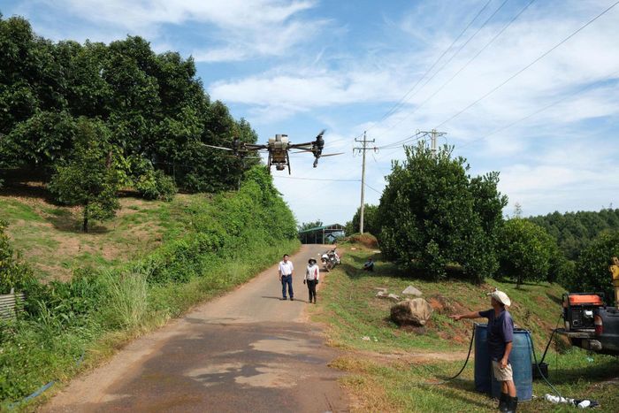 Thiết bị bay không người lái (drone) được sử dụng phổ biến tại vùng nông nghiệp quanh khu vực cấm bay của Cảng hàng không quốc tế Liên Khương
