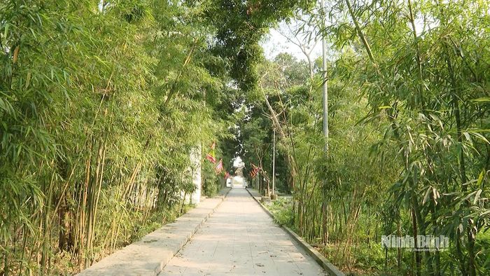 Lối đi dẫn vào đền được phủ bởi bạt ngàn cây trúc xanh quanh năm.
