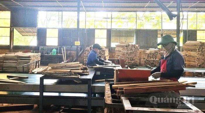 Sản xuất chế biến gỗ sẽ là một trong những lĩnh vực được ưu tiên hỗ trợ máy móc tiên tiến bằng nguồn vốn khuyến công - Ảnh: M.L