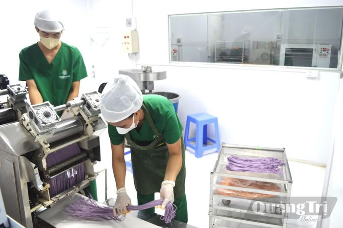 Doanh nghiệp hoạt động hiệu quả hơn nhờ được hỗ trợ vốn đầu tư thiết bị - Ảnh: M.L