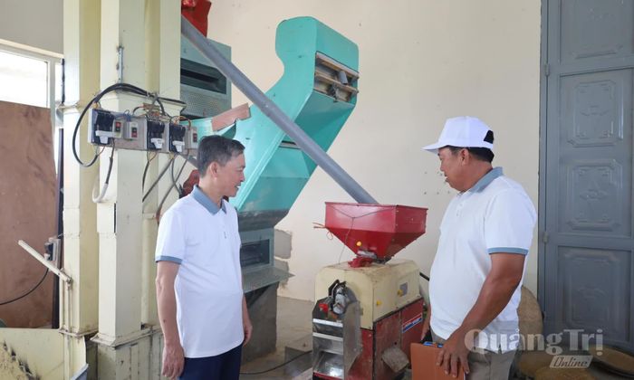 Mô hình nông nghiệp xanh của Hợp tác xã Nông sản hữu cơ Gio Linh thu hút nhiều địa phương đến tham quan, học tập kinh nghiệm - Ảnh: H.C