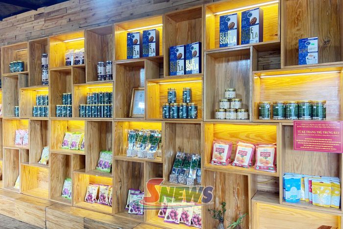 Sản phẩm “Chè Shan tuyết Mocha Hill” trưng bày tại gian hàng.