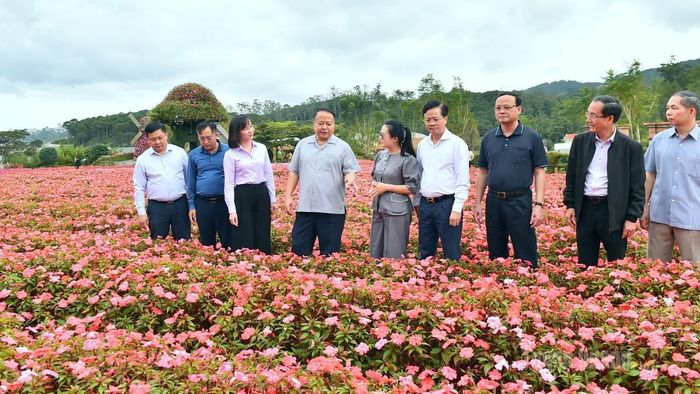 Chủ tịch UBND tỉnh Phan Huy Ngọc và Đoàn công tác tìm hiểu mô hình trồng hoa phục vụ khách du lịch tại Khu du lịch Fresh Garden Đà Lạt.