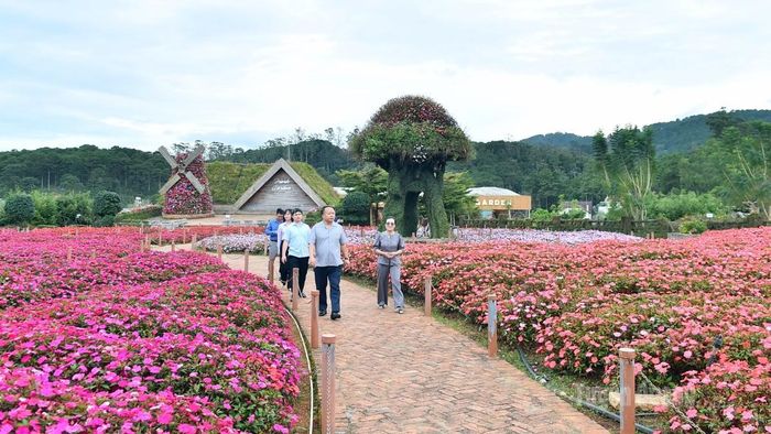 Chủ tịch UBND tỉnh Phan Huy Ngọc tìm hiểu mô hình trồng hoa tại Khu du lịch Fresh Garden Đà Lạt.