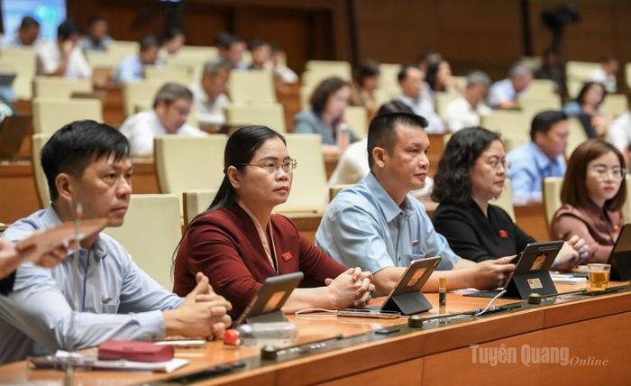 Đoàn ĐBQH tỉnh Tuyên Quang dự phiên họp ngày 30-10.